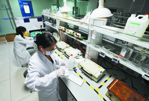 讓創(chuàng)新中藥綻放更多光彩 以嶺藥業(yè)以理論創(chuàng)新驅(qū)動中醫(yī)藥產(chǎn)業(yè)化、現(xiàn)代化、國際化